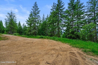 1719 Highlands Rd, Sandpoint, ID 83864 - photo 7