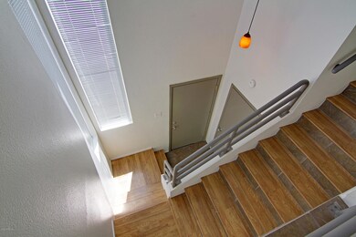 Entry_0361