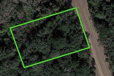 4606 Cottonwood Run 87, Alvin, TX 77511 - photo 2