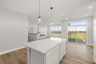 1435 Locust St, Waukee, IA 50263 - photo 7