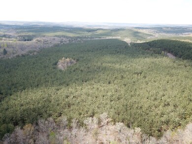 0 Thomas Springs Rd unit 204233, Crossville, TN 38572 - photo 6