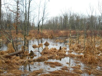 1414 Beaver Rd, Lilley Township, MI 49309 - photo 4