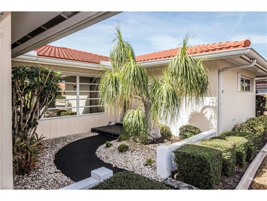 Courtyard entry with spectacular ponytail palm