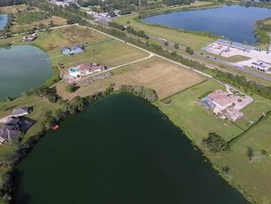 13023 Tall Redwood Ln, Dover, FL 33527 - photo 7