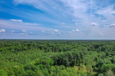 DJI_0352