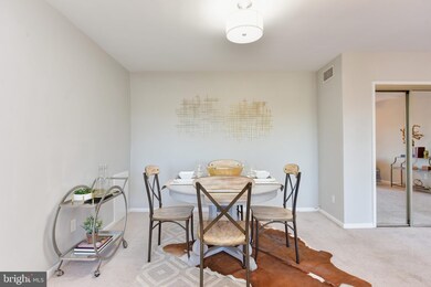 49 Skyhill Rd unit 203, Alexandria, VA 22314 - photo 7