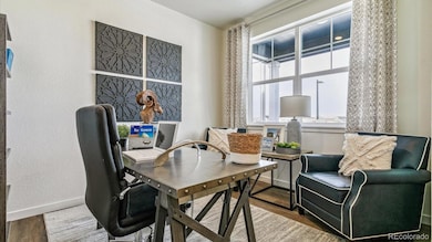 798 N Clubview St, Watkins, CO 80137 - photo 4