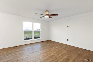 12240 Louiselle Park Dr, Maryland Heights, MO 63043 - photo 5