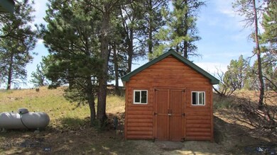 Shed