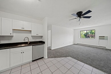 69 Milliken Ave unit 17, Franklin, MA 02038 - photo 4