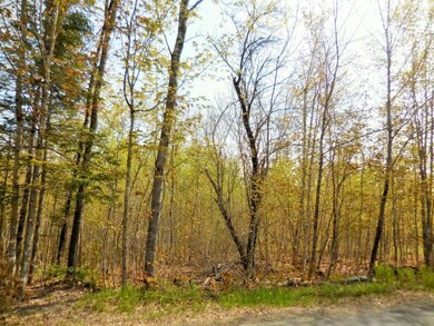 Silvers Mills 4