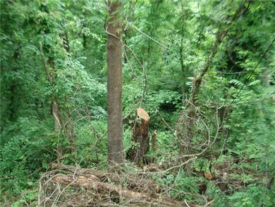 49 Basore Dr, Bella Vista, AR 72715 - photo 4