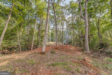 474 White Pine Cir, Demorest, GA 30535 - photo 5