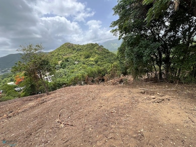 Ramal 150 Bo Guayabal Sitio Lajita unit A, Juana Diaz, PR 00795 - photo 2