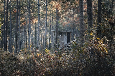 0 N County Line Rd, Sylvester, GA 31791 - photo 3