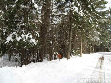 46877 187th Place, McGregor, MN 55760 - photo 2