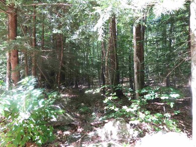 0 Old Perkins Rd unit 8 4652194, Meredith, NH 03253 - photo 3