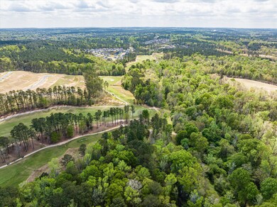 403 Tugaloo Ct, Evans, GA 30809 - photo 7