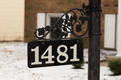 1481Rayne-107