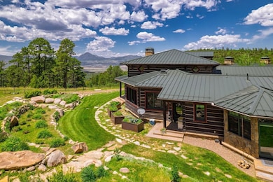 7760 County Road 363 (Doubloon 2), La Veta, CO 81055 - photo 3