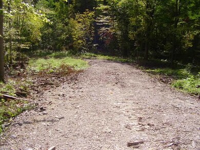 Drive Way