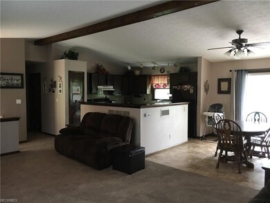 5960 Dailey Rd, Akron, OH 44319 - photo 5