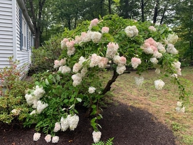 37 Lakeview Way, Auburn, NH 03032 - photo 6