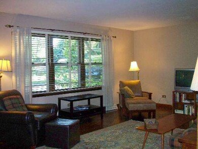 529 E 8th Ave, Naperville, IL 60563 - photo 4