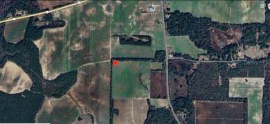 0 S Old U Rd unit MFRO6280061, Marianna, FL 32446 - photo 6