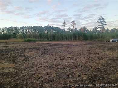 1367 Whistling Rufus Rd, Pembroke, NC 28372 - photo 3