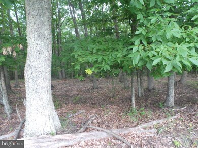 0 Timber Ridge unit WVMO115470, Berkeley Springs, WV 25411 - photo 4