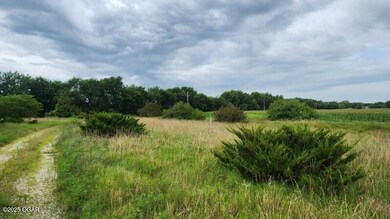 8479 SE 30th St, Baxter Springs, KS 66713 - photo 2