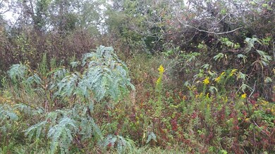 1635 Algoa Rd, Algoa, TX 77511 - photo 5