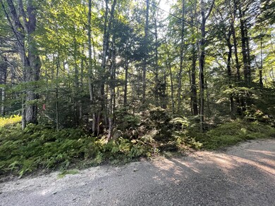 Lot #17R Waterview Trail, Bridgton, ME 04009 - photo 7