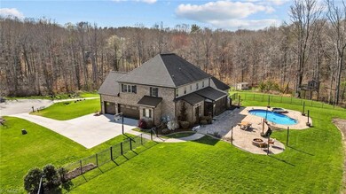 Beautiful backyard aerial view