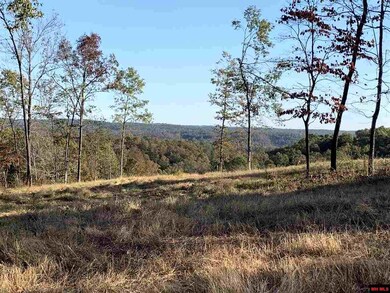 00 Tomahawk Slab Rd, Saint Joe, AR 72675 - photo 5