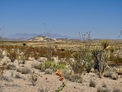 2637 Martin Cutacross Rd, Terlingua, TX 79852 - photo 6