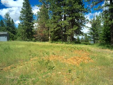 52455 Huckleberry Ln, Meacham, OR 97859 - photo 6