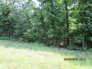 0 River Ridge unit 15015784, Heber Springs, AR 72543 - photo 3