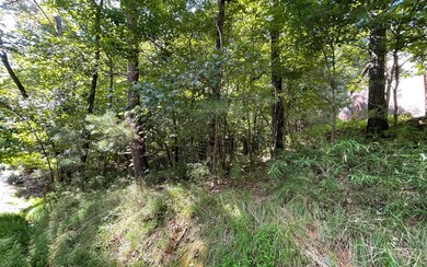 Additional View
