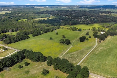 5152 County Road 413 W, Henderson, TX 75654 - photo 2