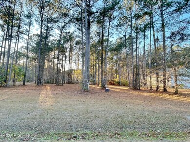 59 Chickory Ln, Minnesott Beach, NC 28510 - photo 4