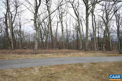 167 Devils Knob Loop, Roseland, VA 22967 - photo 6