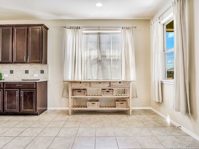 3746 Ox-Eye Daisy, San Antonio, TX 78261 - photo 7