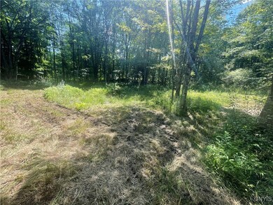 0 Meirs Rd, Williamstown, NY 13493 - photo 7