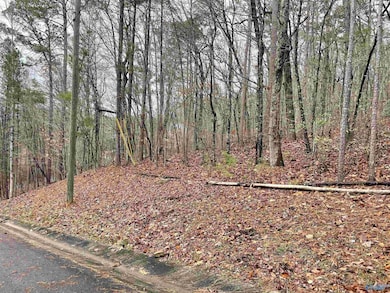 Lot 5 Greenbriar Rd, Gadsden, AL 35901 - photo 2