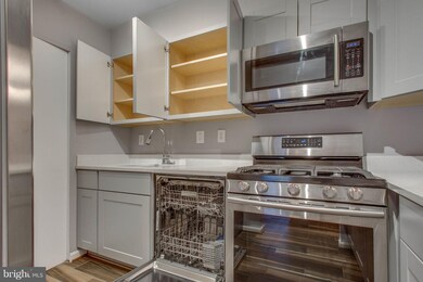 5914 Cove Landing Rd unit 301, Burke, VA 22015 - photo 5