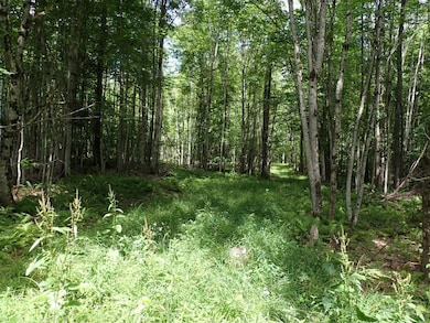 0 Denio Rd unit 24587948, Barnet, VT 05819 - photo 6