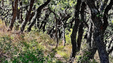 1368 Cr 124 unit Durango CO, Durango, CO 81301 - photo 6