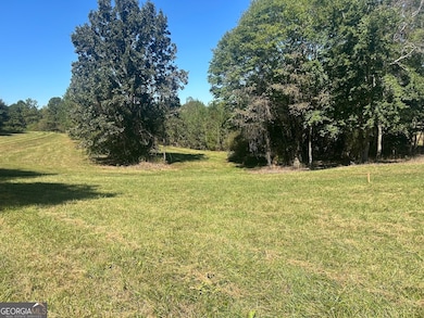 0 New Mexico Rd unit TRACT 1 (7.47 ACRES), Bowdon, GA 30108 - photo 6